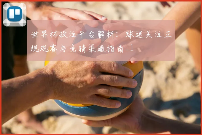 世界杯投注平台解析：球迷关注正规观赛与竞猜渠道指南_1