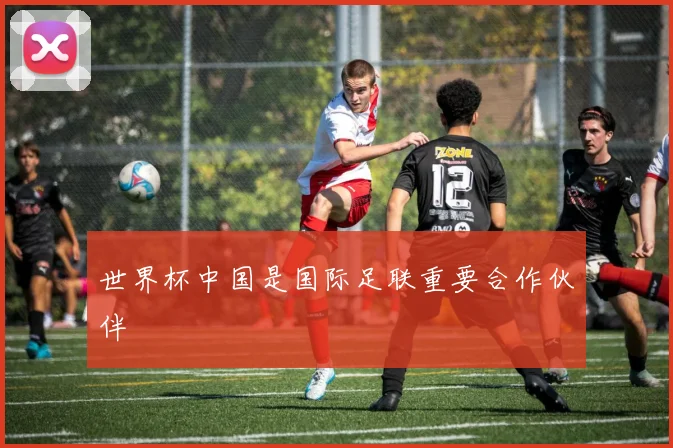 世界杯中国是国际足联重要合作伙伴