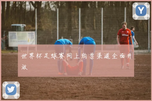 世界杯足球赛网上购票渠道全面开放