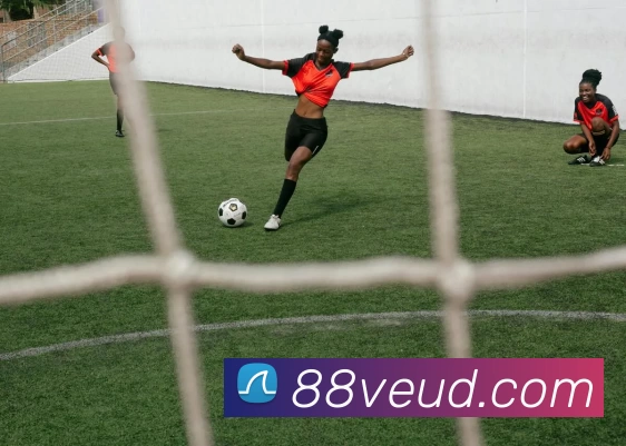 大阳城在线登录入口 - 大阳城(中国)平台生态图