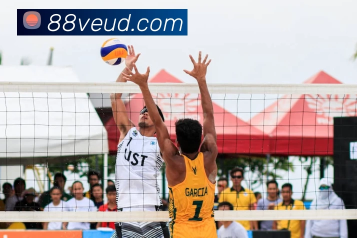 大阳城在线登录入口 - 大阳城(中国)APP 封面图